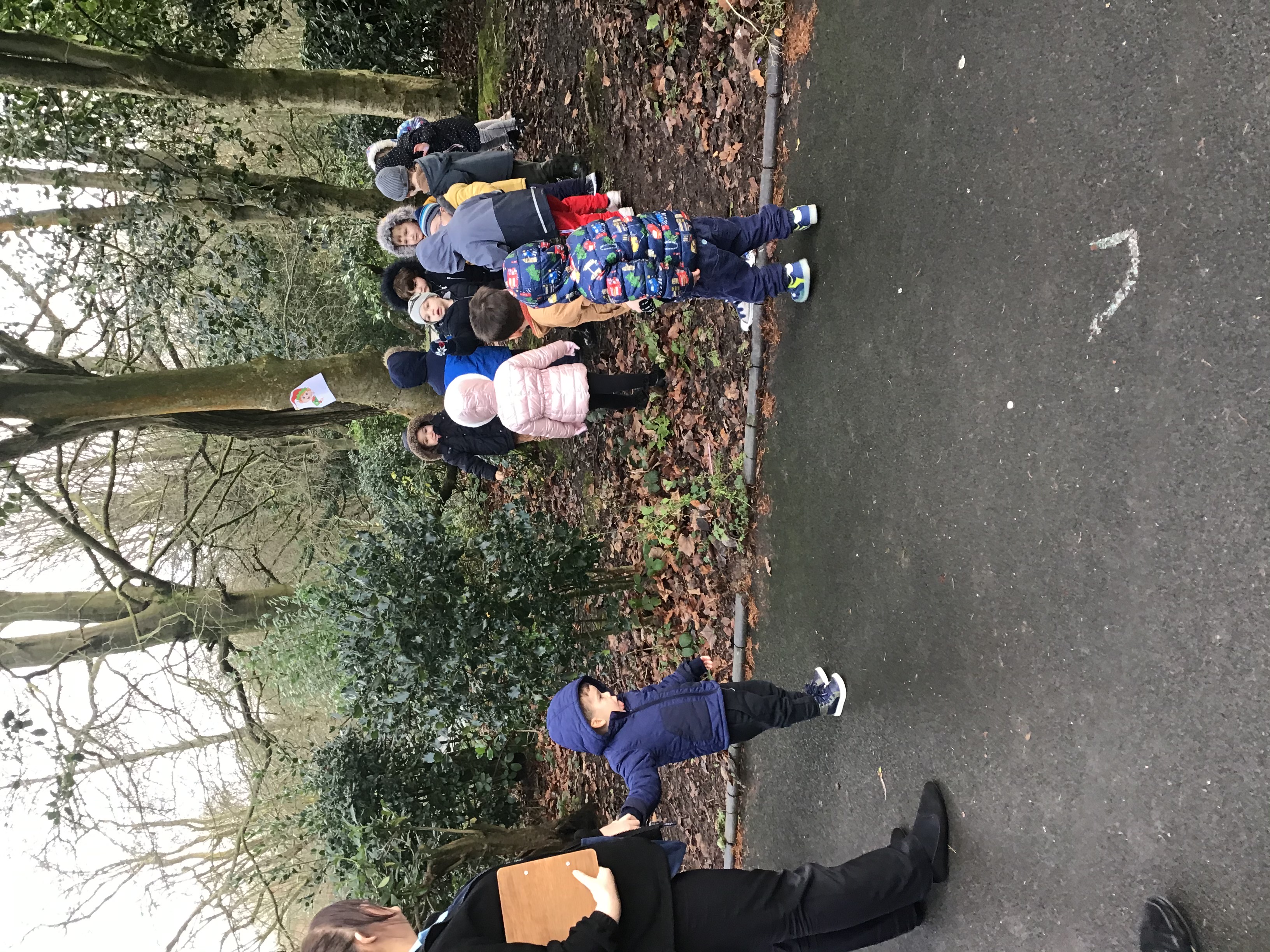 Going into the woods