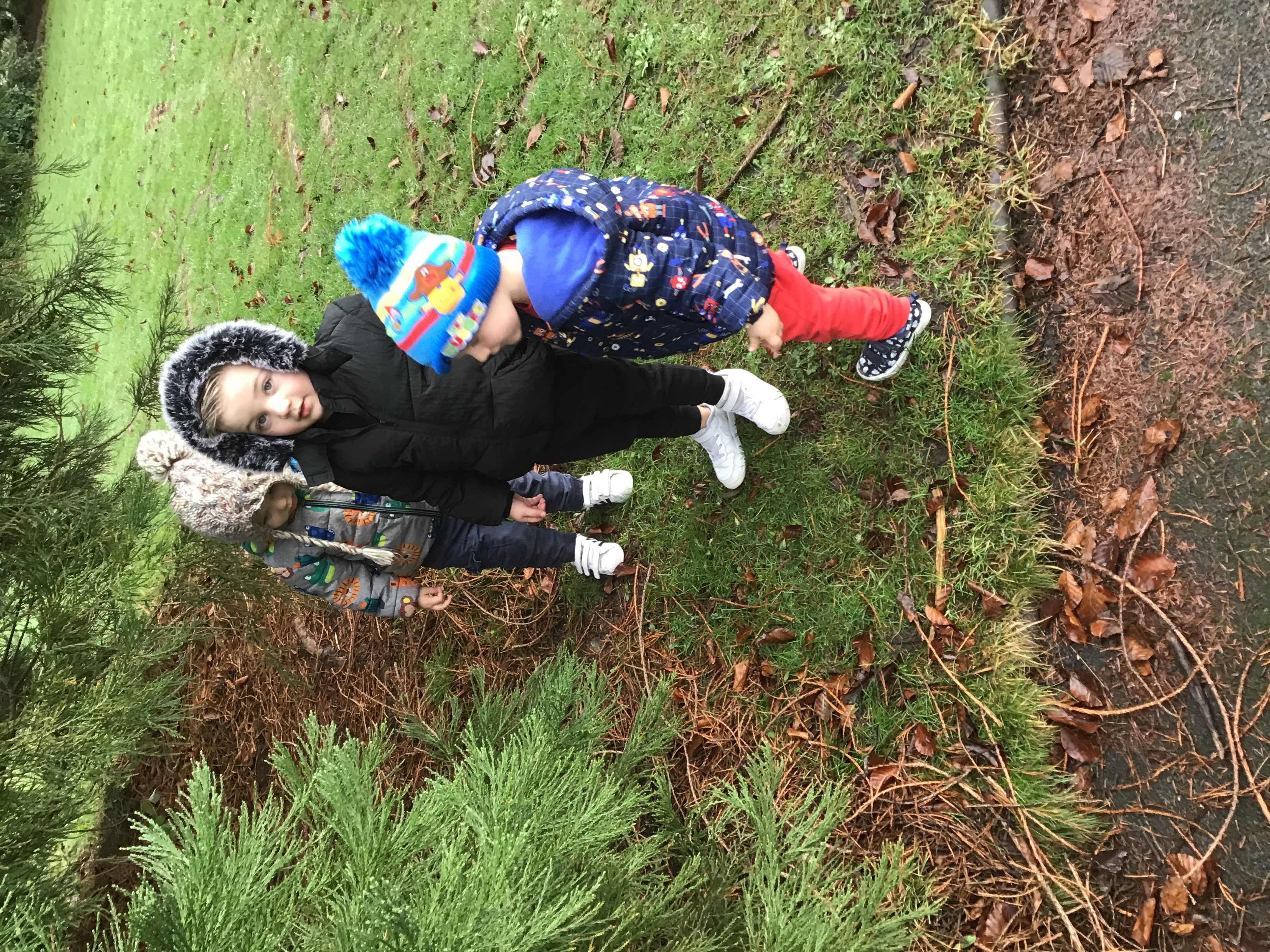 looking at the squirrels running up and down the tress